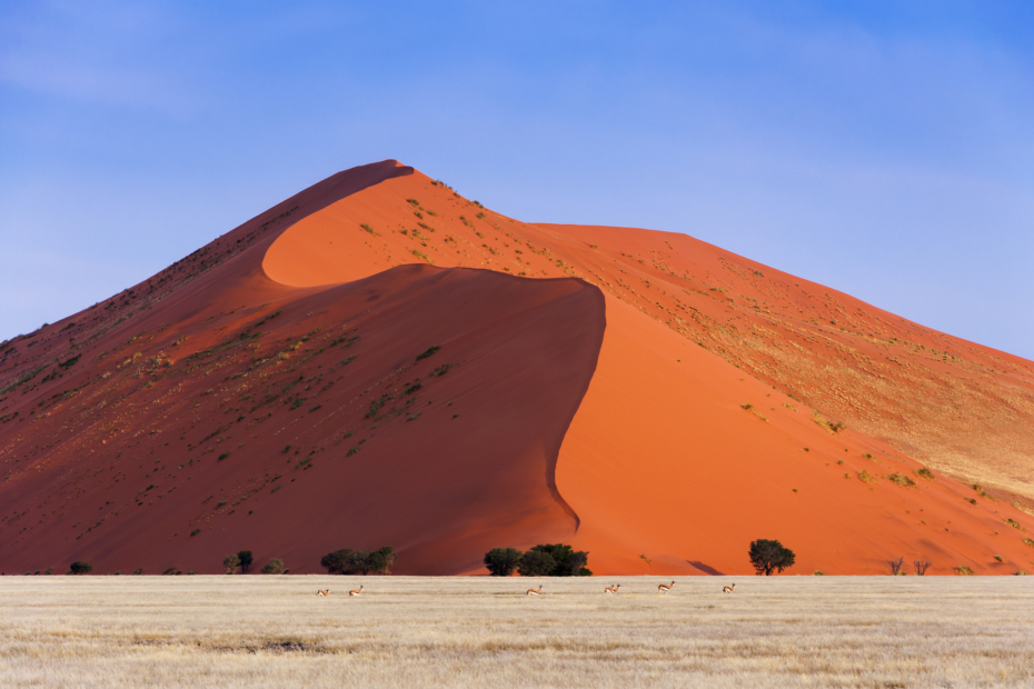 Sossusvlei Desert