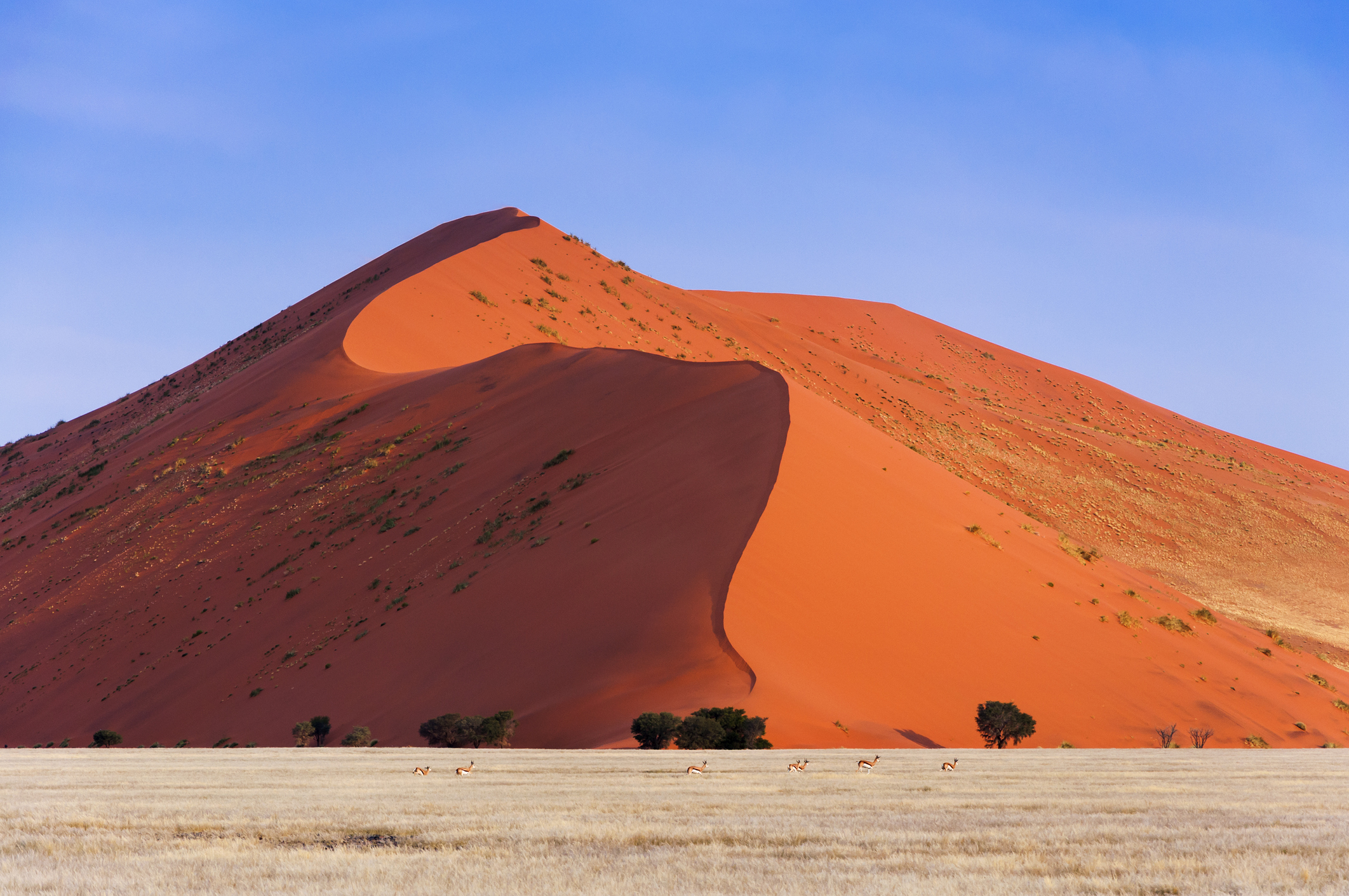 Sossusvlei Desert, Namibia: Africa’s Lesser-Known Oasis of Beauty and Serenity
