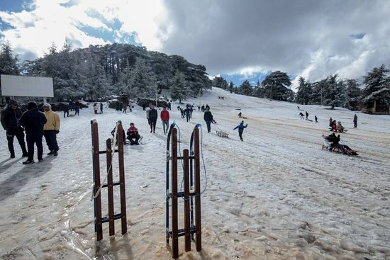 Chréa, Skiing Destinations in Africa