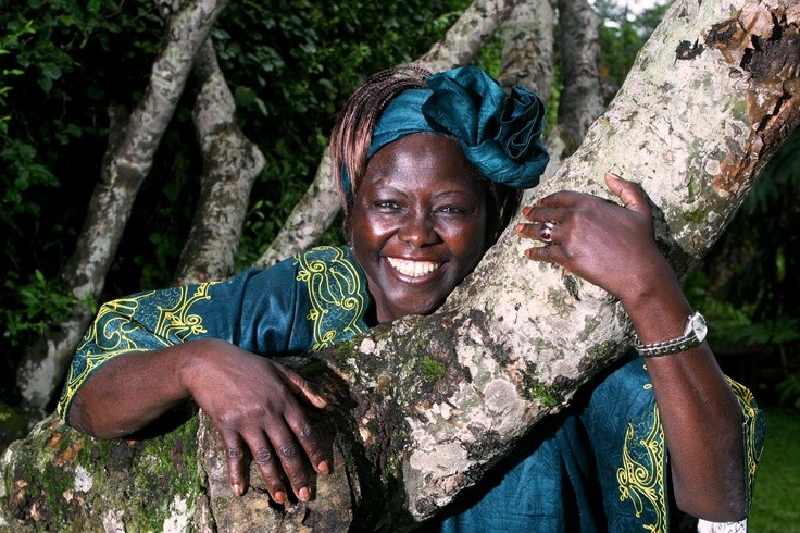 Wangari Maathai