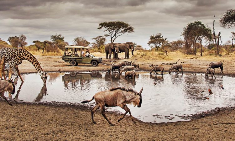 African Romance: The Top 5 Safari Destinations for Valentine’s Day